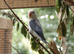 Bonded Pair of Fischers Lovebirds