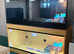 Bearded Dragon with New Vivarium Setup Kits