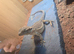 Bearded dragon and vivarium