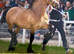 Absolutely stunning Welsh D