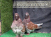 Chinese owls