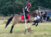 Beautiful Class 1 registered Connemara Mare - 14.1hh - 8 yro