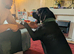 Gorgeous 11 month female cane corso