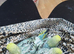 Two baby budgies
