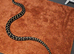 Adult Female Jungle Carpet python