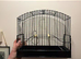 Show cages and carry bag