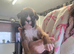 Boxer pups last 2 female left