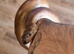 Adult male Colombian rainbow boa