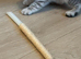 Half british shorthair kittens