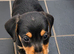Daxi Jack