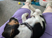 3 month jack Russell