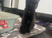 Black female kitten ready for collection
