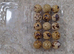 Jumbo Japanese Coturnix Quail Eggs