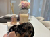 Long hair/short hair miniature dachshund