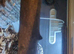 1 year old rat snake with full set up and viv