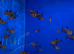 Red Phantom Tetra (Megalamphodus sweglesi)