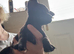 Pups for sale