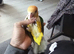 Super tamed caique