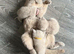British Shorthair Kittens