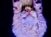 part Mainecoon female Ruby
