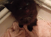 Black fluffy boy