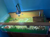 Herman&rsquo;s tortoise and setup