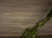 4ft x 2ft Viv in excellent condition