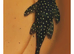 L007 Plec
