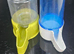 Budgie water bottle