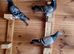 Johnson racing pigeons for sale
