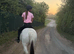 14.1 skewbald gelding
