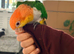 Hand tamed white bellied caique parrot
