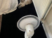 Ragdoll wanted 5 years old +