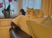 2 beautiful British British shorthair