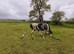 The most lovely mare you will ever meet