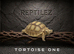 TORTOISE