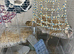 2 Bonded Female Rats with Cage & Accessories