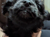 3 gorgeous boys