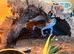 Two female leopard Geckos with 3ft viv