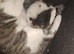 Need Rehoming as soon as possible