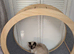 Cat wheel