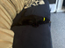 Female Black Cat Cross Ragdoll