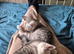 Beautiful brothers