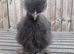 Non bearded silkies
