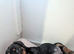 4 smooth dachshund puppies