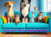 Kerensa's Mobile Microchipping Service