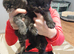 6 kittens