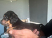 Miniature Daschund Puppies