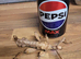 Giant prickly stick insects adults