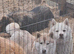 Gorgeous Siberian Husky puppies